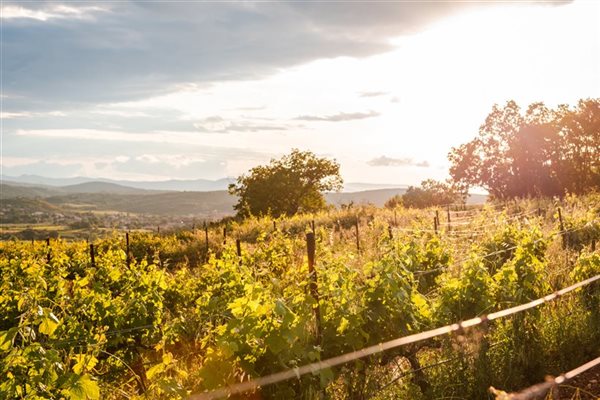 S’évader à l’automne dans le Sud, à Pézenas